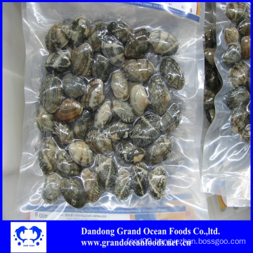 High quality frozen boiled vacuum packed baby clam